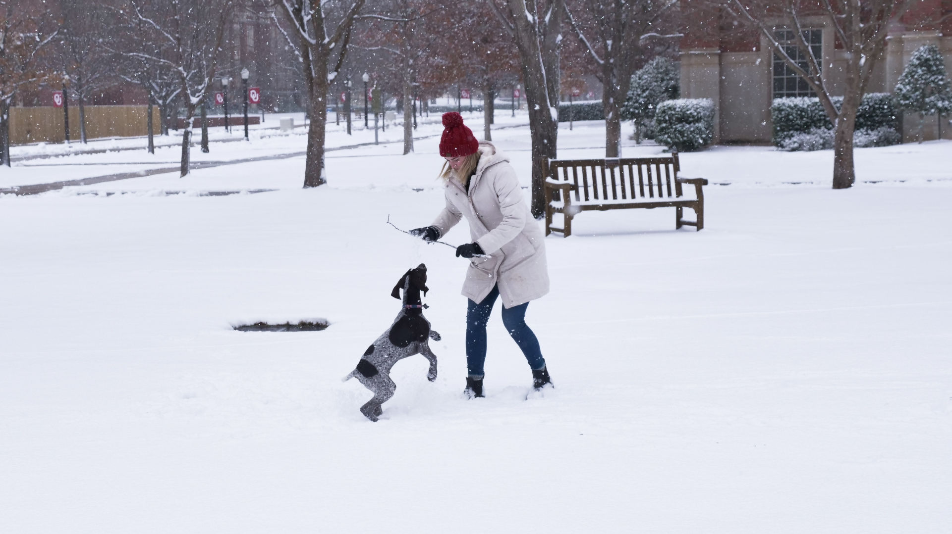 Dog and student